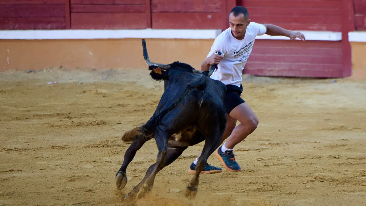 Tercer encierro de las Fiestas de Tudela 2026. I&Ntilde;IGO ALZUGARAY