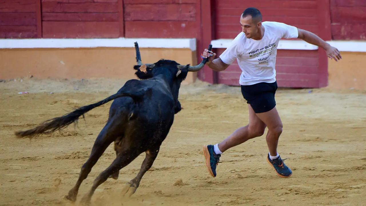 Tercer encierro de las Fiestas de Tudela 2026. I&Ntilde;IGO ALZUGARAY
