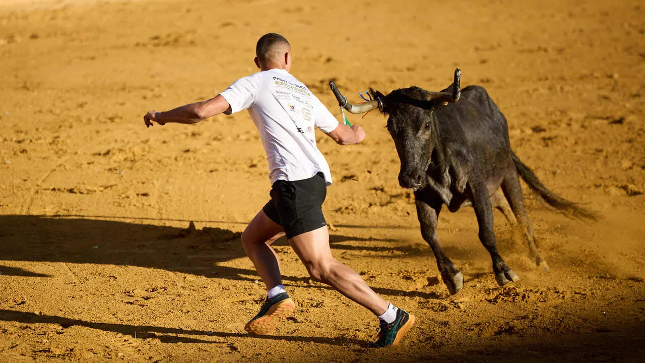 Tercer encierro de las Fiestas de Tudela 2026. I&Ntilde;IGO ALZUGARAY