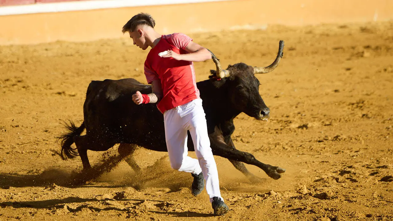 Tercer encierro de las Fiestas de Tudela 2026. I&Ntilde;IGO ALZUGARAY