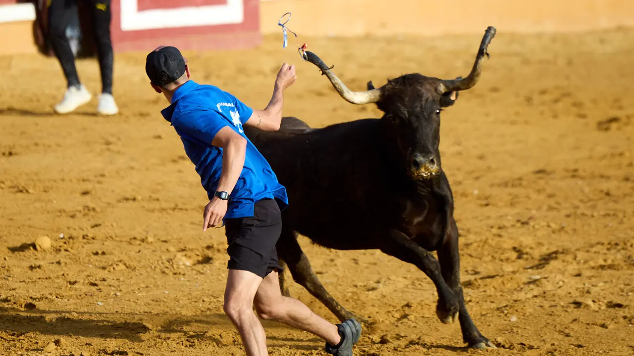 Tercer encierro de las Fiestas de Tudela 2026. I&Ntilde;IGO ALZUGARAY