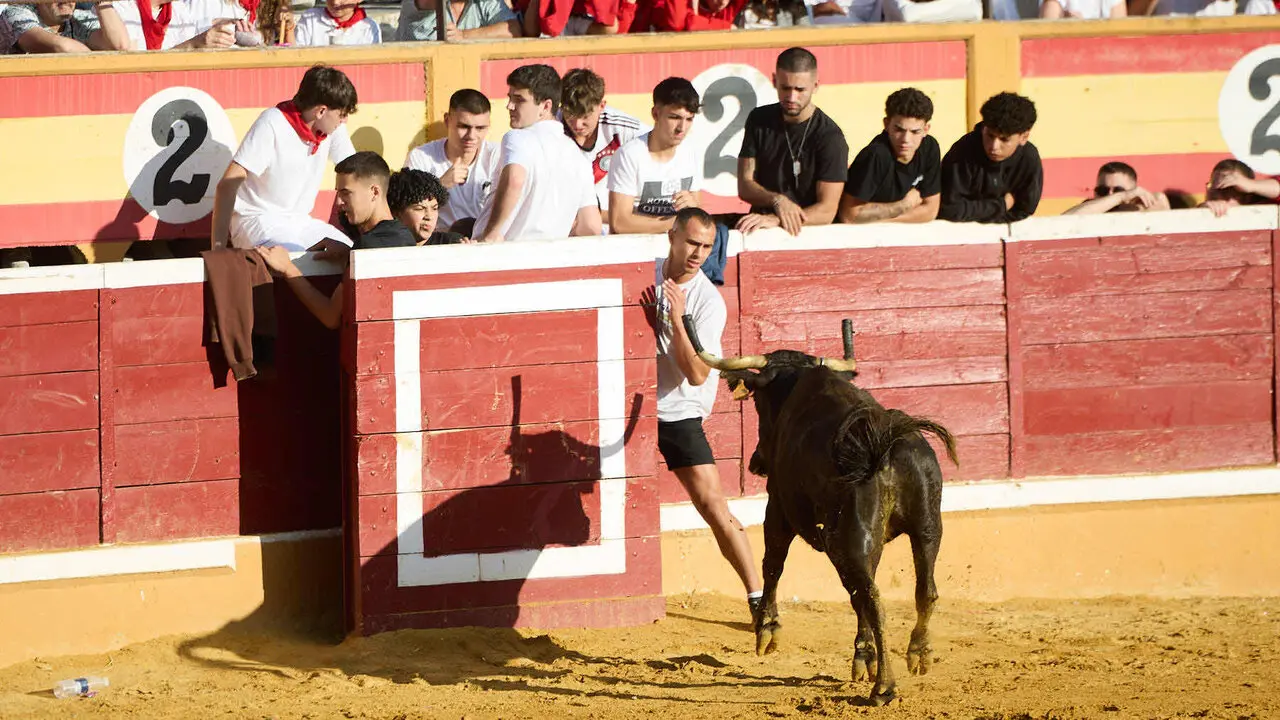 Tercer encierro de las Fiestas de Tudela 2026. I&Ntilde;IGO ALZUGARAY