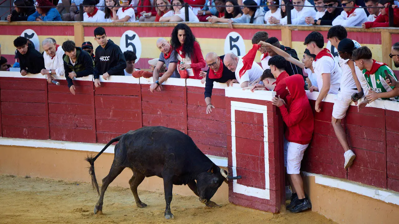 Tercer encierro de las Fiestas de Tudela 2026. I&Ntilde;IGO ALZUGARAY