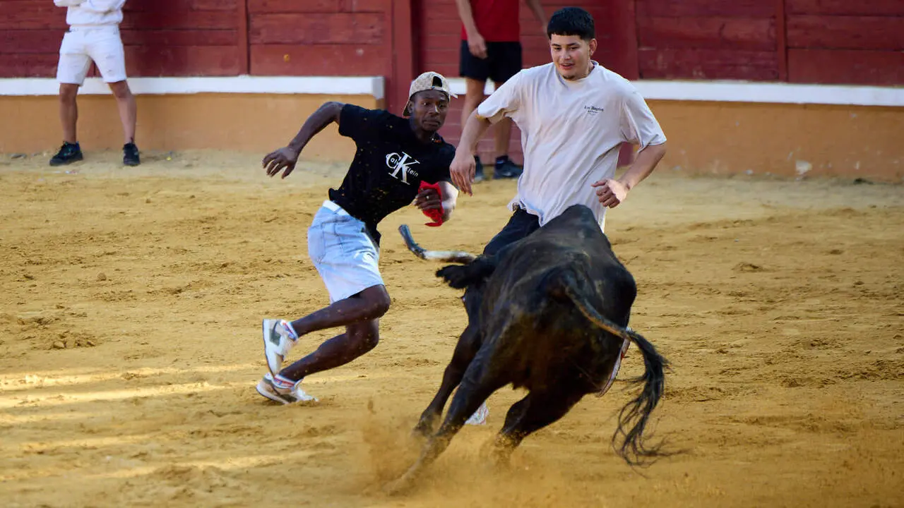 Tercer encierro de las Fiestas de Tudela 2026. I&Ntilde;IGO ALZUGARAY