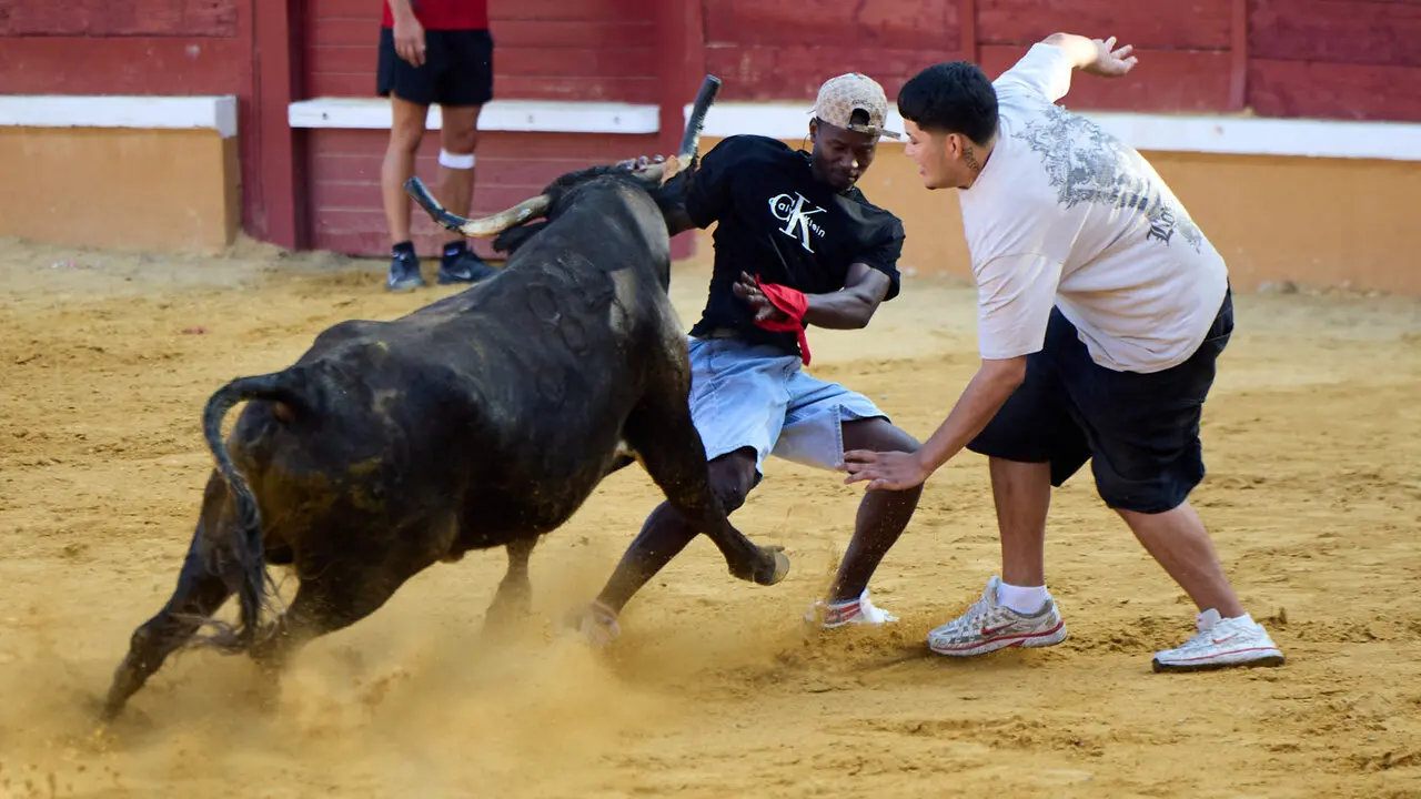 Tercer encierro de las Fiestas de Tudela 2026. I&Ntilde;IGO ALZUGARAY