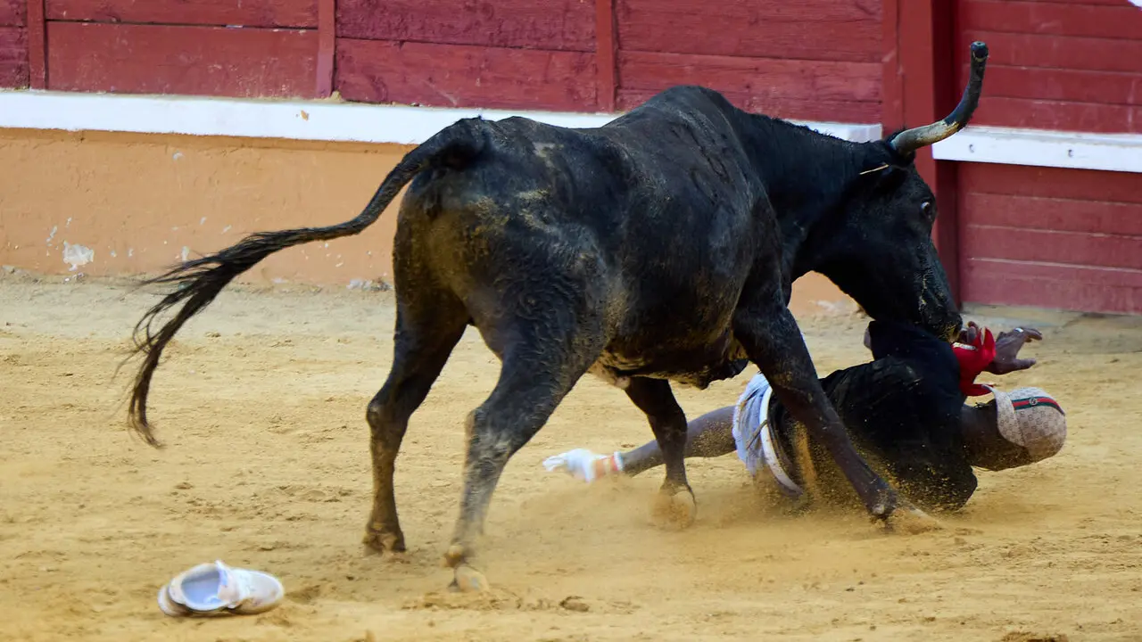 Tercer encierro de las Fiestas de Tudela 2026. I&Ntilde;IGO ALZUGARAY
