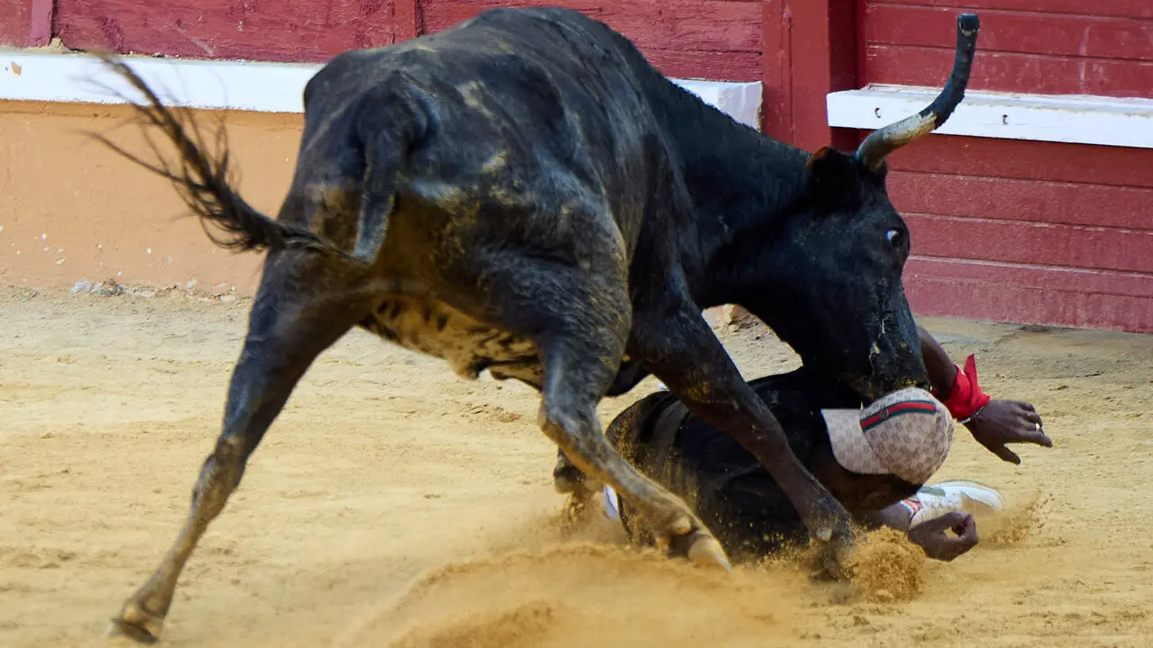 Tercer encierro de las Fiestas de Tudela 2026. I&Ntilde;IGO ALZUGARAY
