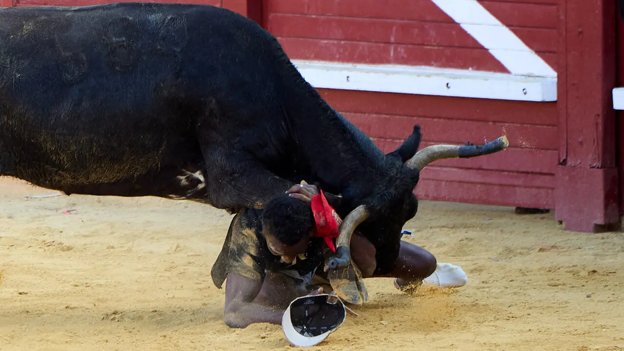 Tercer encierro de las Fiestas de Tudela 2026. I&Ntilde;IGO ALZUGARAY