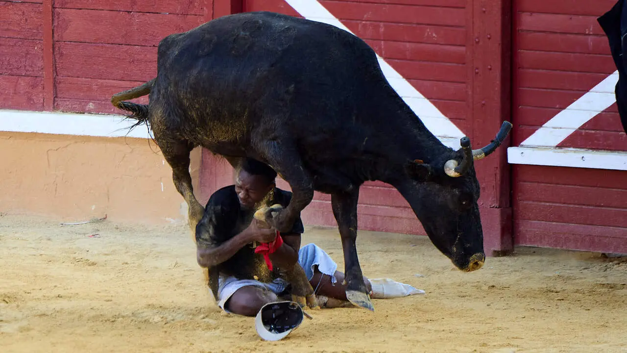 Tercer encierro de las Fiestas de Tudela 2026. I&Ntilde;IGO ALZUGARAY