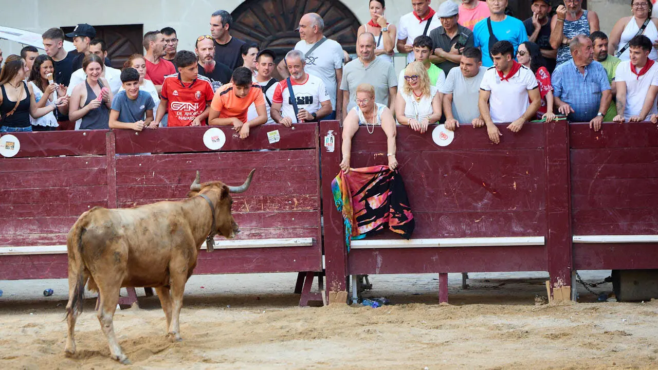 Vacas en Fiestas de Puente La Reina 2026. I&Ntilde;IGO ALZUGARAY