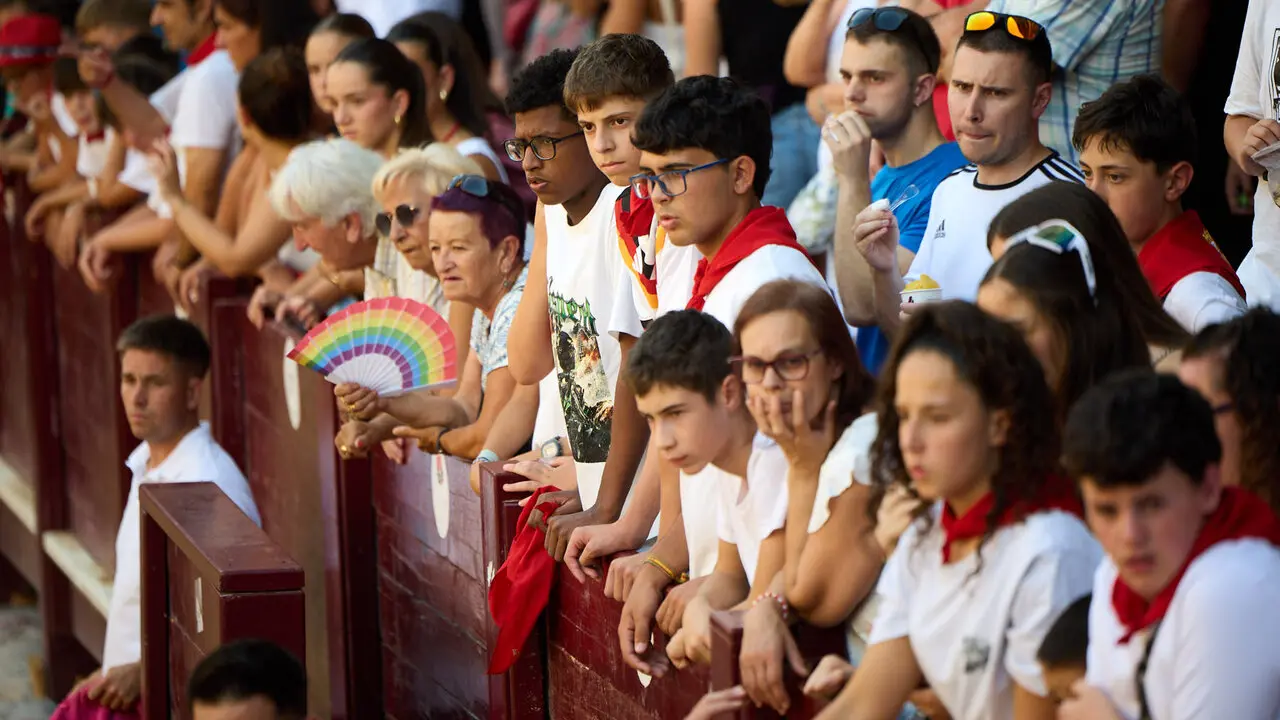 Vacas en Fiestas de Puente La Reina 2026. I&Ntilde;IGO ALZUGARAY
