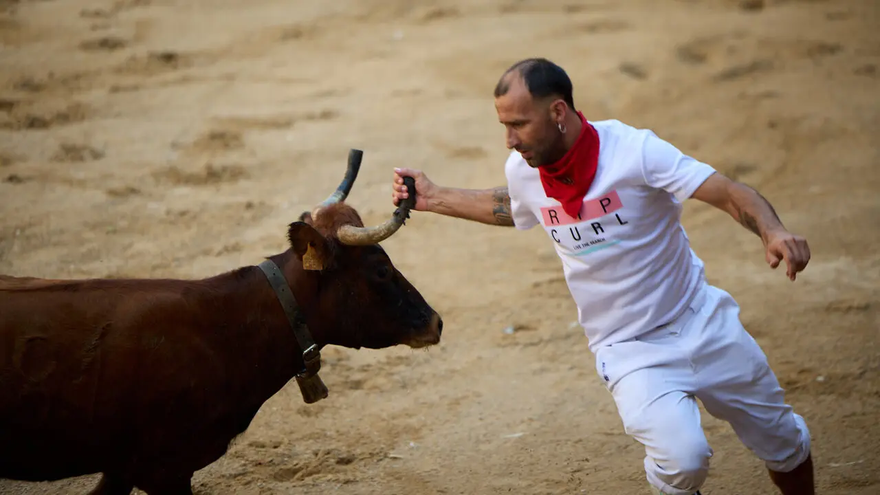 Vacas en Fiestas de Puente La Reina 2026. I&Ntilde;IGO ALZUGARAY