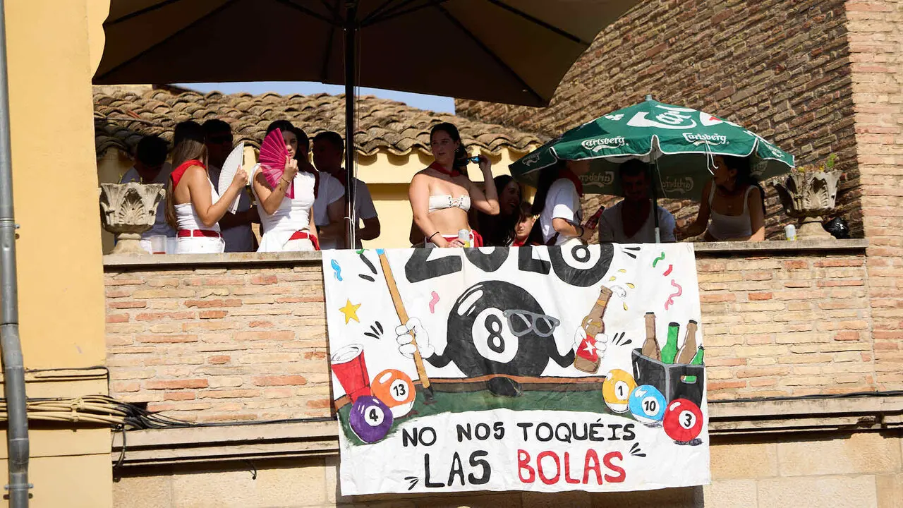 Vacas en Fiestas de Puente La Reina 2026. I&Ntilde;IGO ALZUGARAY