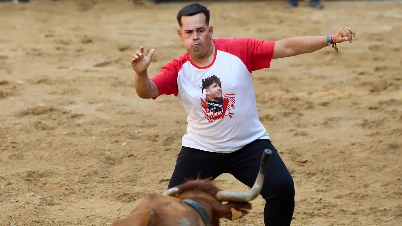 Vacas en Fiestas de Puente La Reina 2026. I&Ntilde;IGO ALZUGARAY