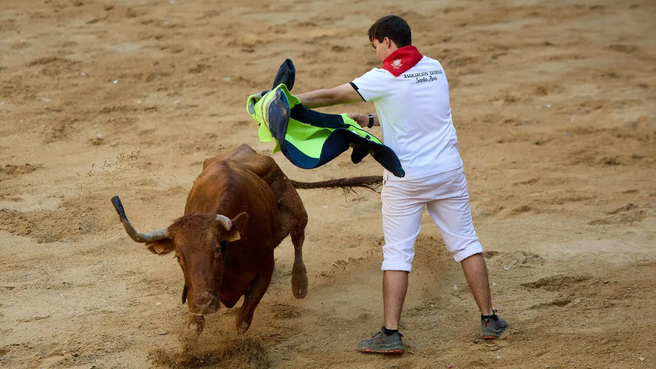 Vacas en Fiestas de Puente La Reina 2026. I&Ntilde;IGO ALZUGARAY