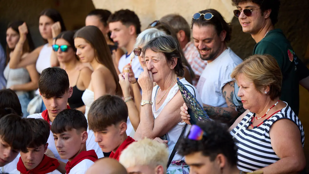 Vacas en Fiestas de Puente La Reina 2026. I&Ntilde;IGO ALZUGARAY