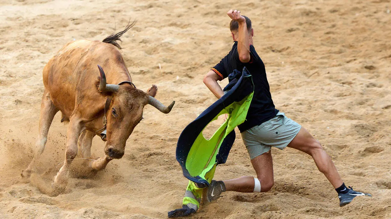 Vacas en Fiestas de Puente La Reina 2026. I&Ntilde;IGO ALZUGARAY