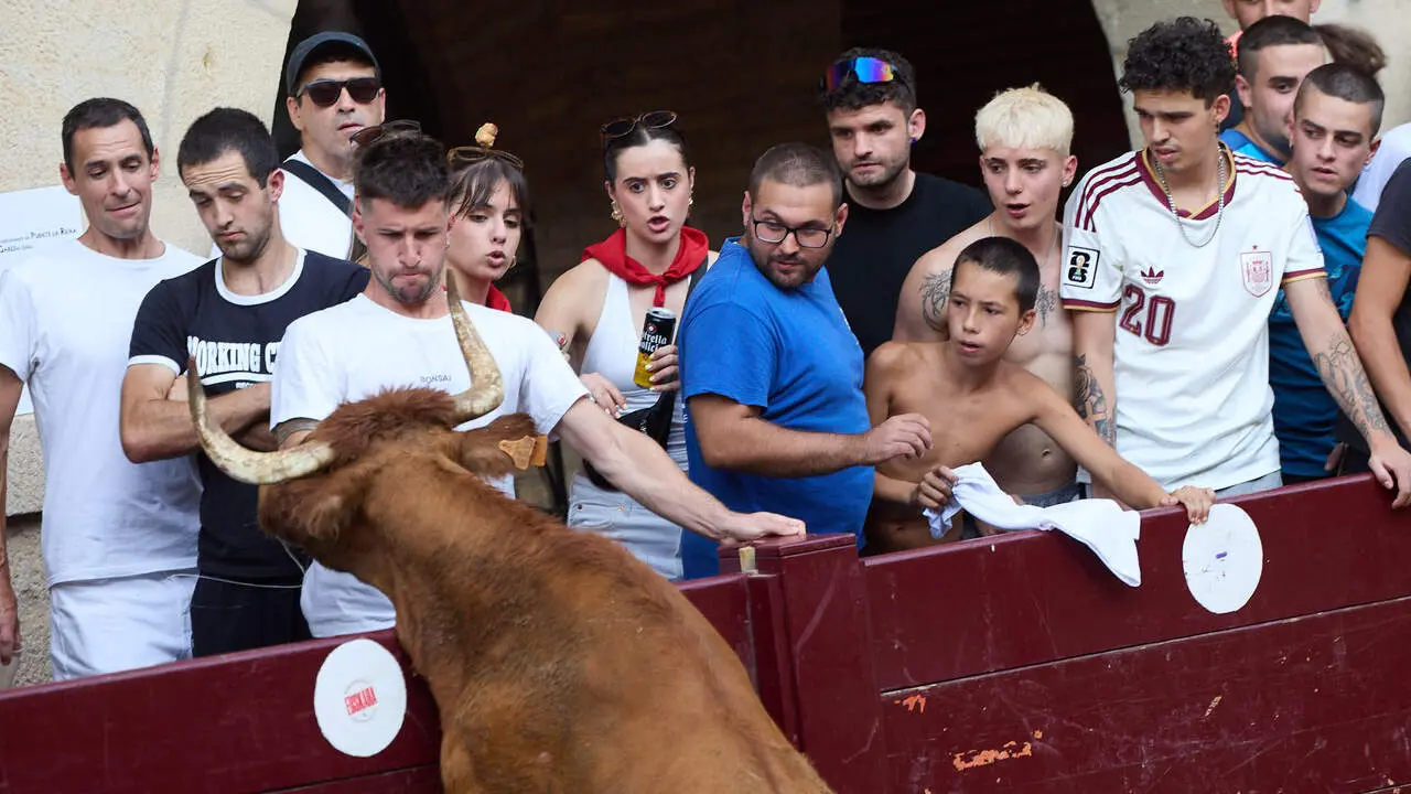 Vacas en Fiestas de Puente La Reina 2026. I&Ntilde;IGO ALZUGARAY