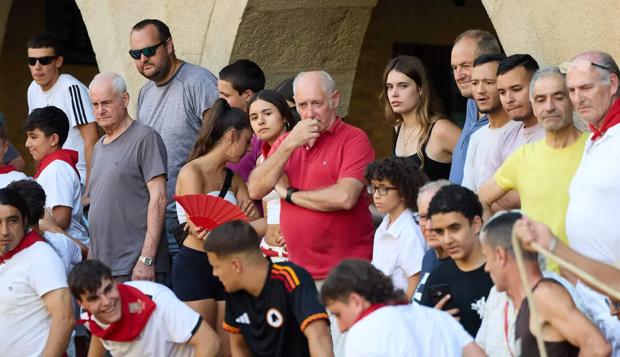 Vacas en Fiestas de Puente La Reina 2026. I&Ntilde;IGO ALZUGARAY