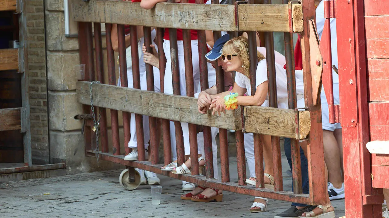 Vacas en Fiestas de Puente La Reina 2026. I&Ntilde;IGO ALZUGARAY