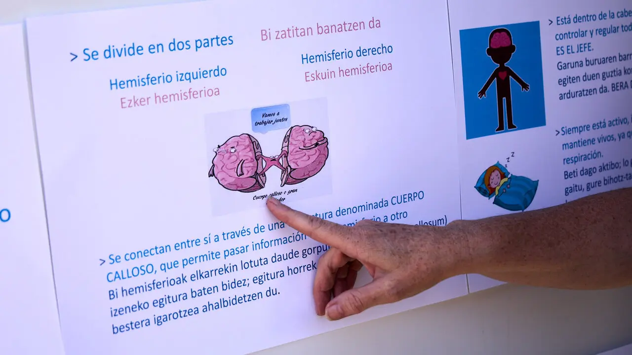 El Comit&eacute; de Personal de Navarrabiomed - Fundaci&oacute;n Miguel Servet realiza una acci&oacute;n p&uacute;blica para dar a conocer cu&aacute;l es su trabajo (investigaci&oacute;n cient&iacute;fica) y para reivindicar un convenio de trabajo propio. I&Ntilde;IGO ALZUGARAY