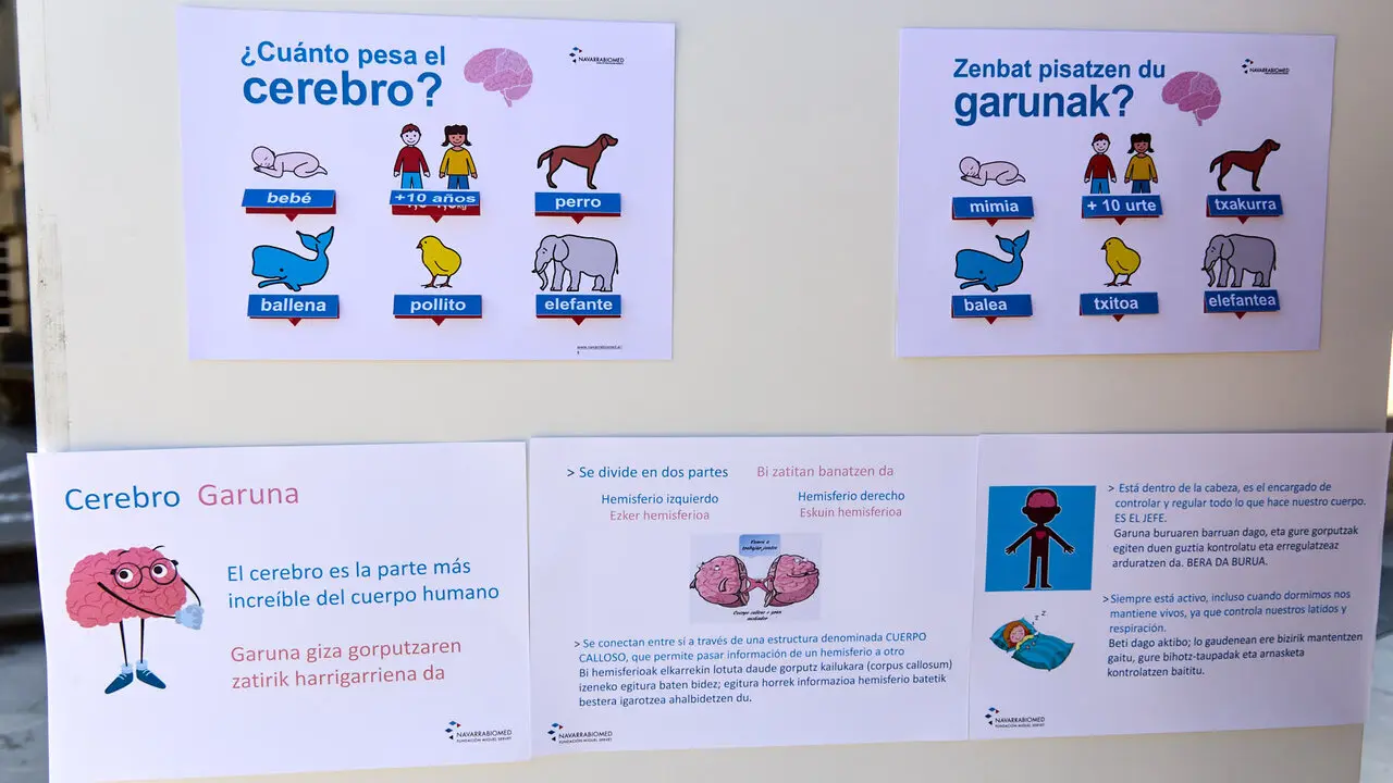 El Comit&eacute; de Personal de Navarrabiomed - Fundaci&oacute;n Miguel Servet realiza una acci&oacute;n p&uacute;blica para dar a conocer cu&aacute;l es su trabajo (investigaci&oacute;n cient&iacute;fica) y para reivindicar un convenio de trabajo propio. I&Ntilde;IGO ALZUGARAY