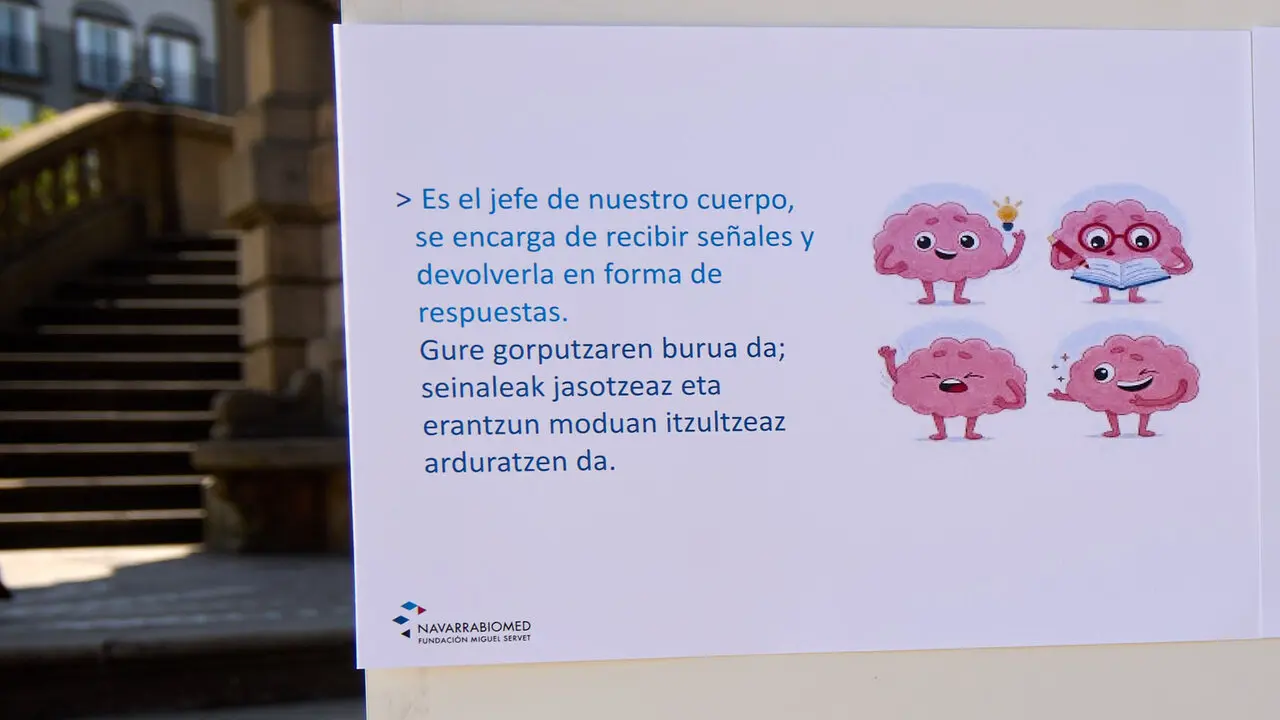 El Comit&eacute; de Personal de Navarrabiomed - Fundaci&oacute;n Miguel Servet realiza una acci&oacute;n p&uacute;blica para dar a conocer cu&aacute;l es su trabajo (investigaci&oacute;n cient&iacute;fica) y para reivindicar un convenio de trabajo propio. I&Ntilde;IGO ALZUGARAY