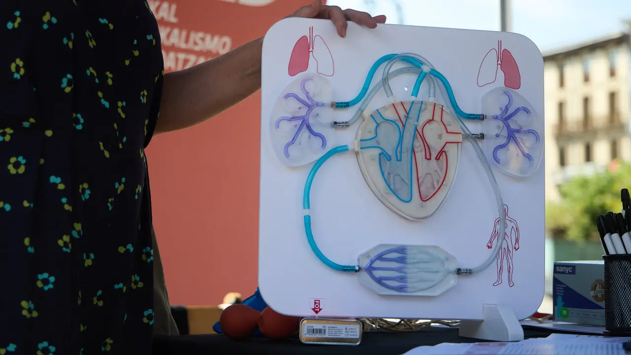 El Comit&eacute; de Personal de Navarrabiomed - Fundaci&oacute;n Miguel Servet realiza una acci&oacute;n p&uacute;blica para dar a conocer cu&aacute;l es su trabajo (investigaci&oacute;n cient&iacute;fica) y para reivindicar un convenio de trabajo propio. I&Ntilde;IGO ALZUGARAY