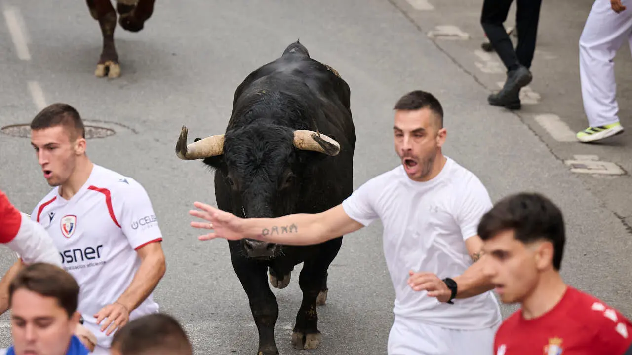 Primer encierro de las fiestas de Tafalla 2026 con toros de Valdell&aacute;n. PABLO LASAOSA
