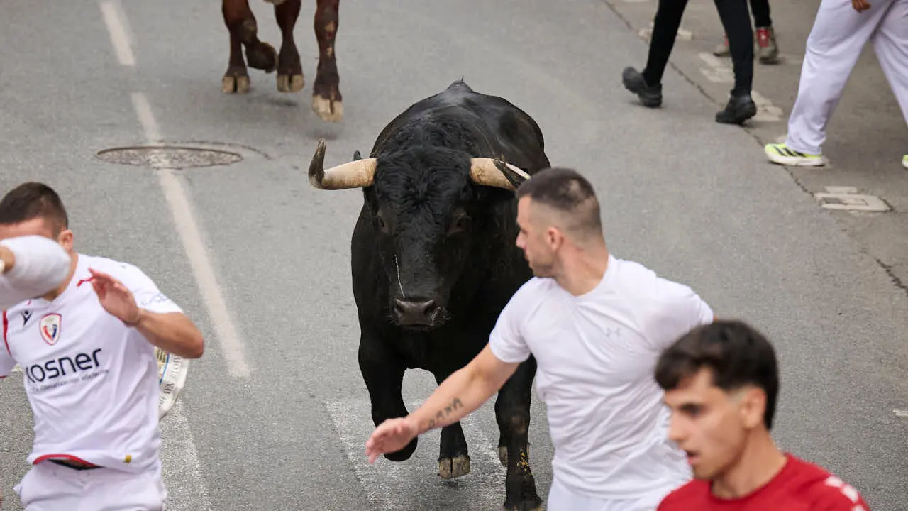 Primer encierro de las fiestas de Tafalla 2026 con toros de Valdell&aacute;n. PABLO LASAOSA