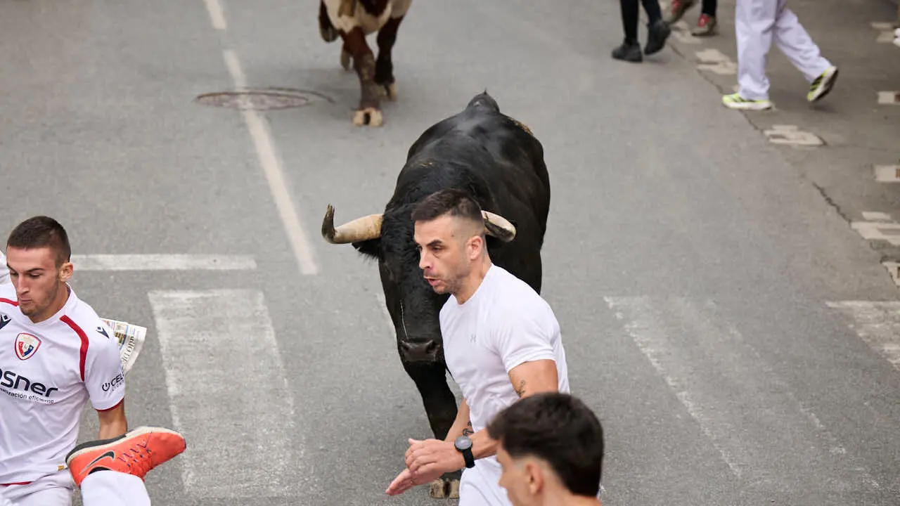 Primer encierro de las fiestas de Tafalla 2026 con toros de Valdell&aacute;n. PABLO LASAOSA