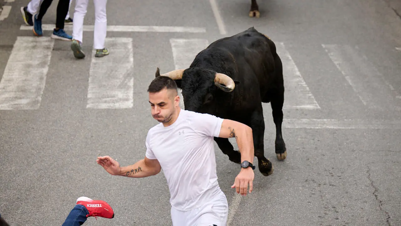 Primer encierro de las fiestas de Tafalla 2026 con toros de Valdell&aacute;n. PABLO LASAOSA