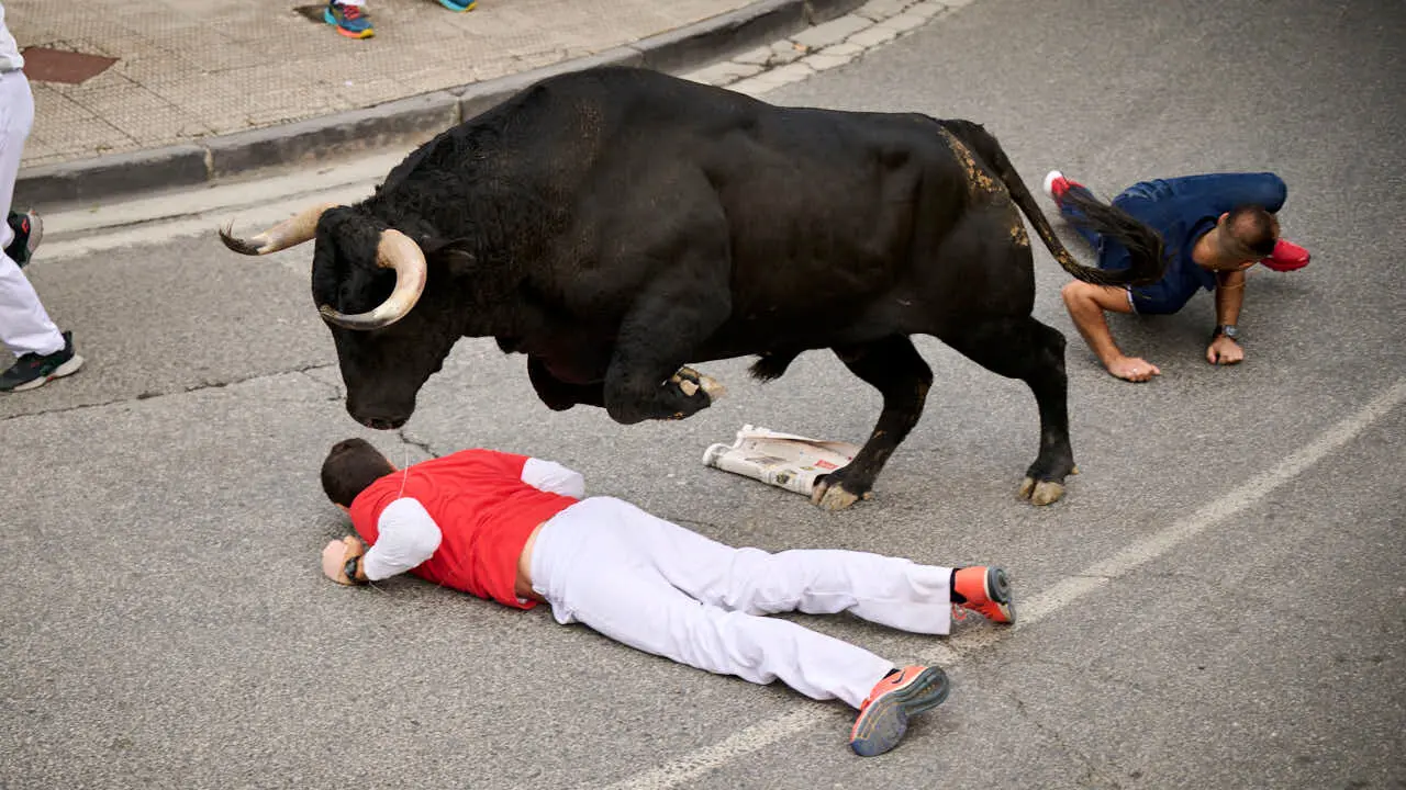 Primer encierro de las fiestas de Tafalla 2026 con toros de Valdell&aacute;n. PABLO LASAOSA