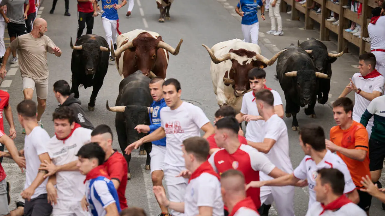 Primer encierro de las fiestas de Tafalla 2026 con toros de Valdell&aacute;n. PABLO LASAOSA