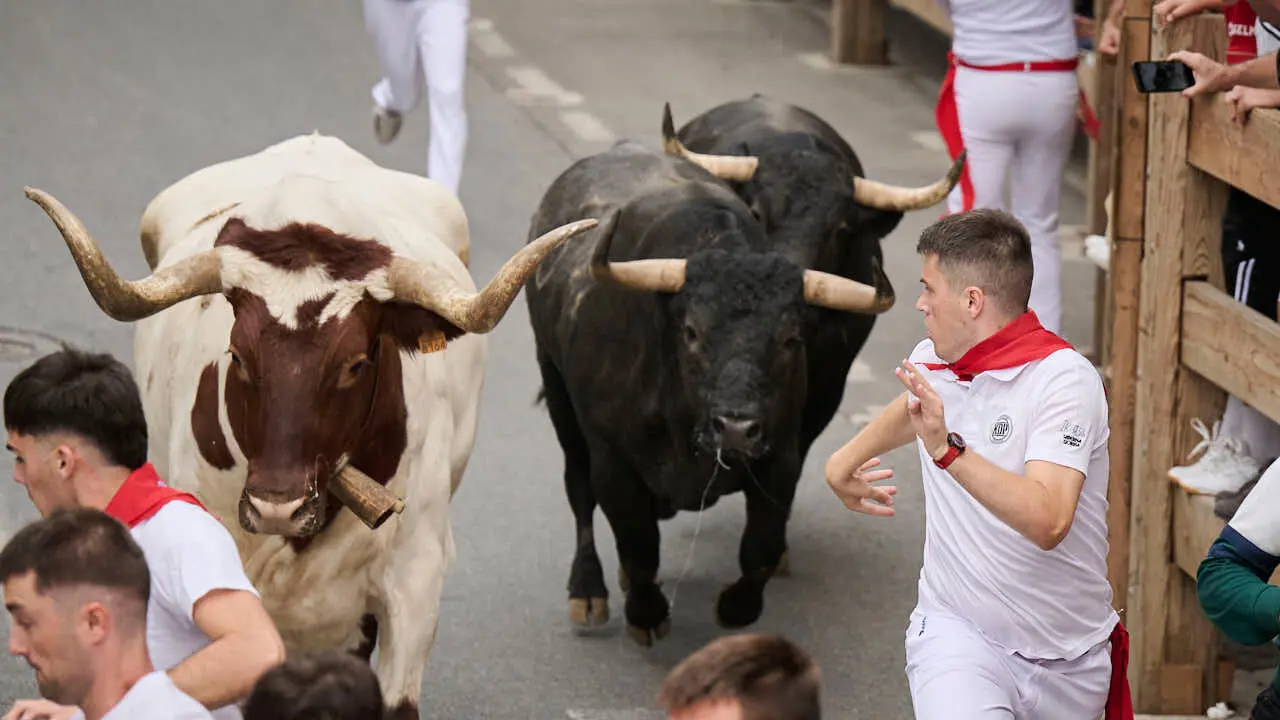 Primer encierro de las fiestas de Tafalla 2026 con toros de Valdell&aacute;n. PABLO LASAOSA