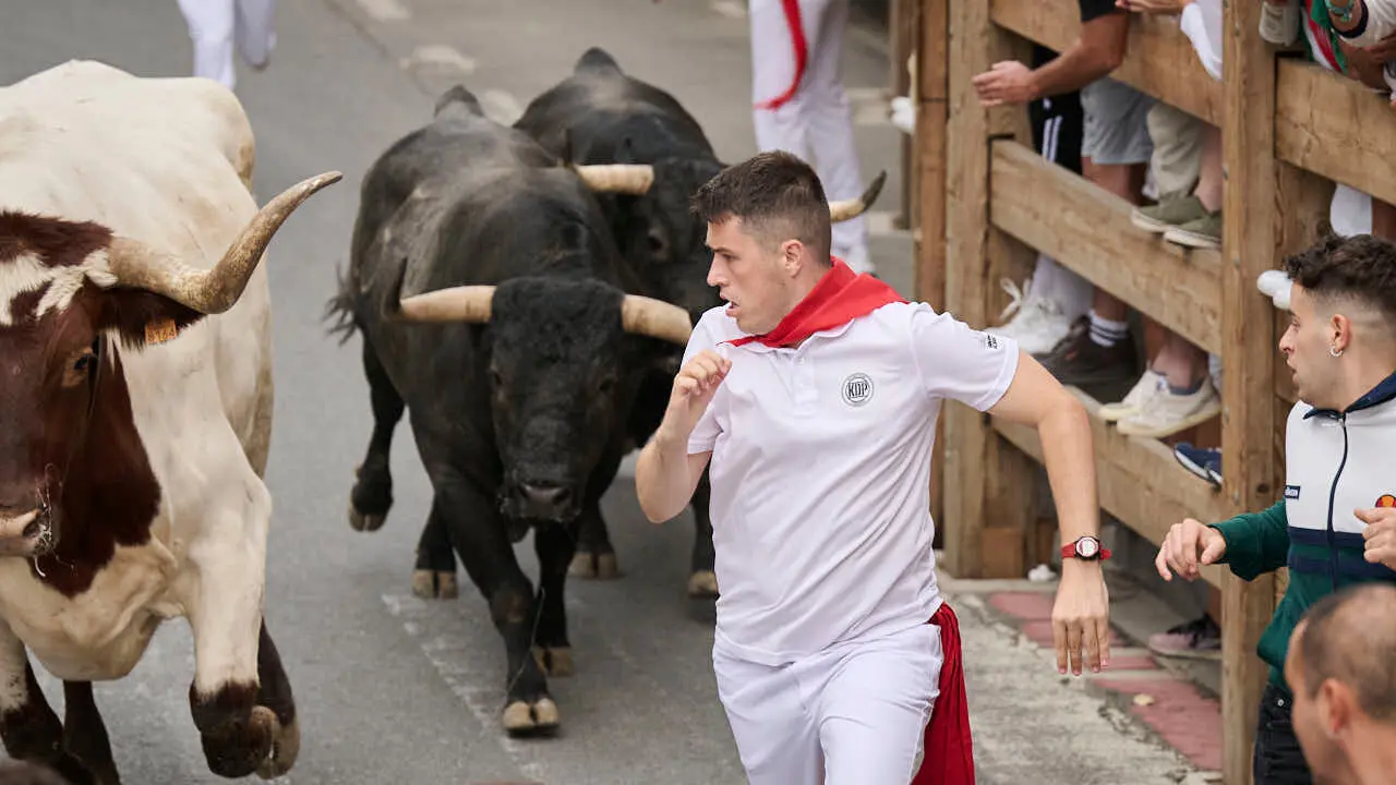 Primer encierro de las fiestas de Tafalla 2026 con toros de Valdell&aacute;n. PABLO LASAOSA