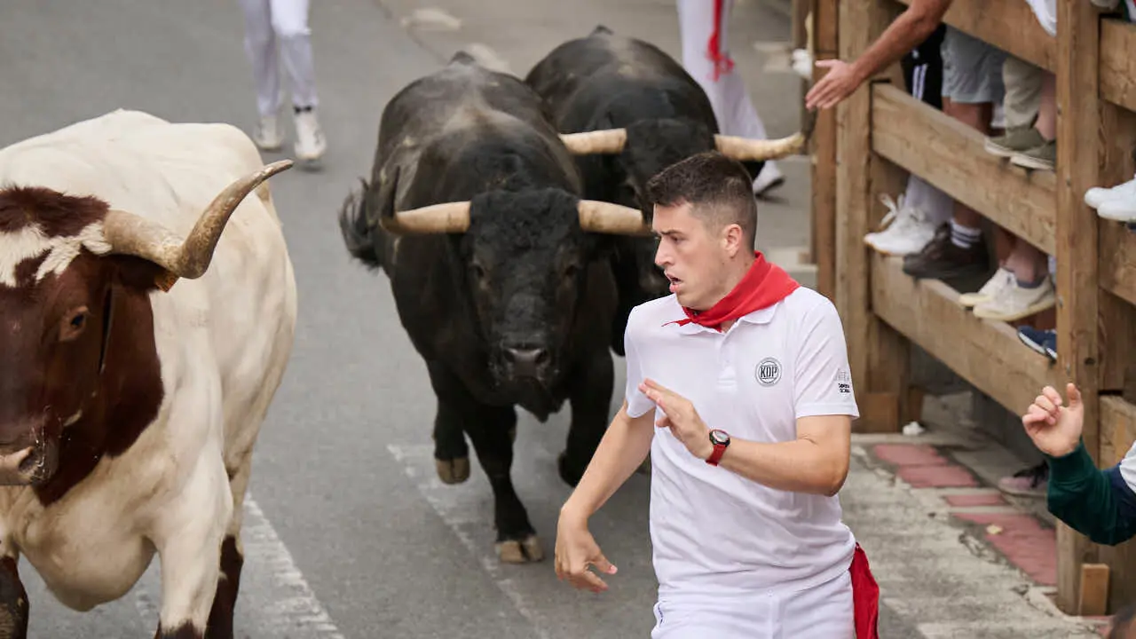 Primer encierro de las fiestas de Tafalla 2026 con toros de Valdell&aacute;n. PABLO LASAOSA