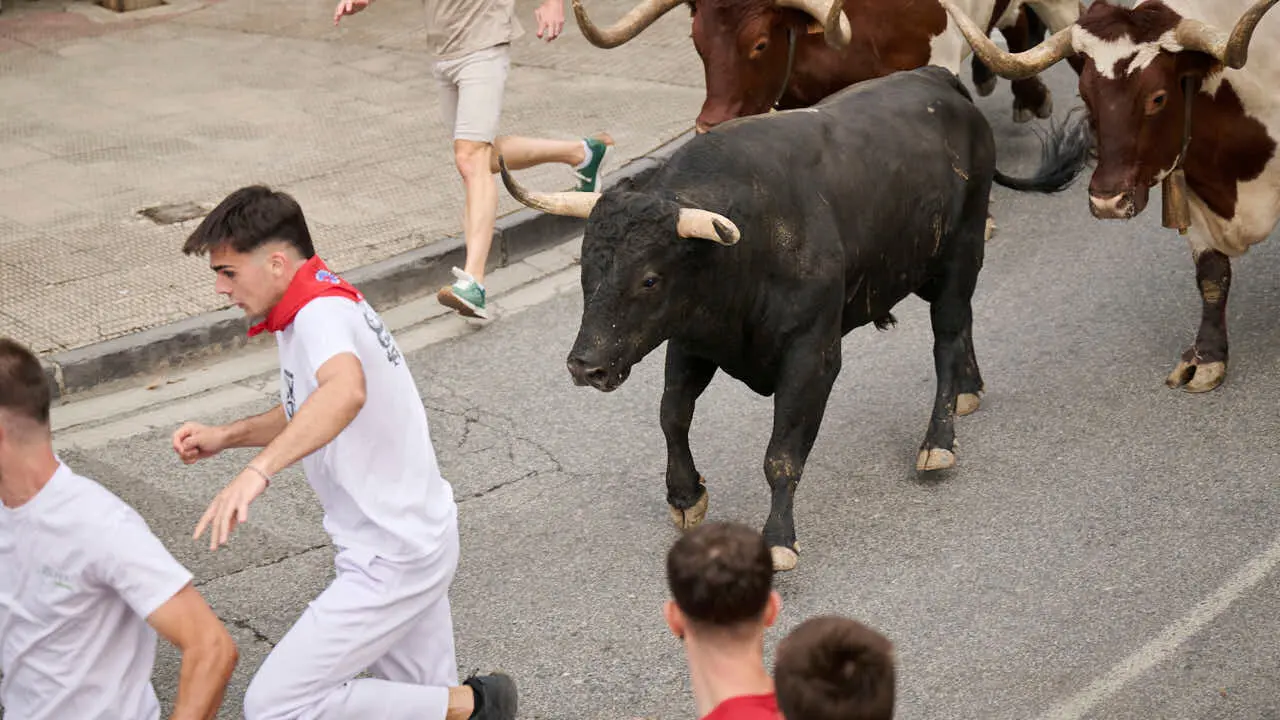 Primer encierro de las fiestas de Tafalla 2026 con toros de Valdell&aacute;n. PABLO LASAOSA