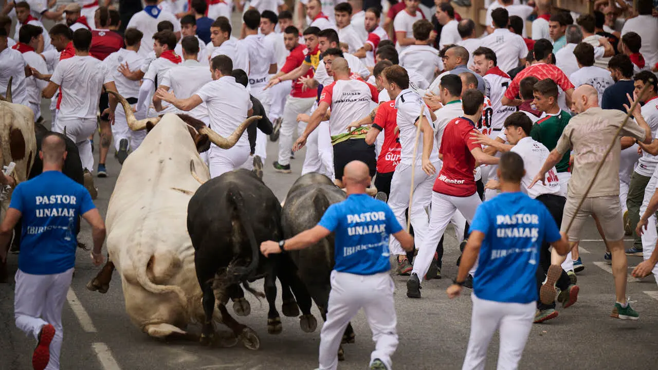 Primer encierro de las fiestas de Tafalla 2026 con toros de Valdell&aacute;n. PABLO LASAOSA