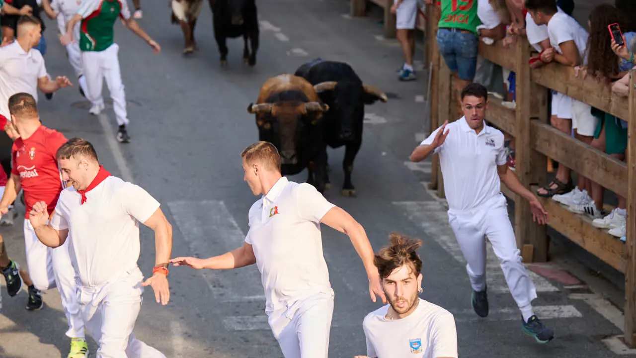 Segundo encierro de Tafalla 2026 con toros de Sobral. PABLO LASAOSA