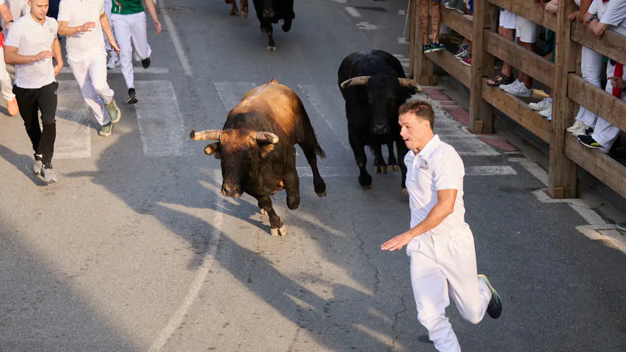 Segundo encierro de Tafalla 2026 con toros de Sobral. PABLO LASAOSA