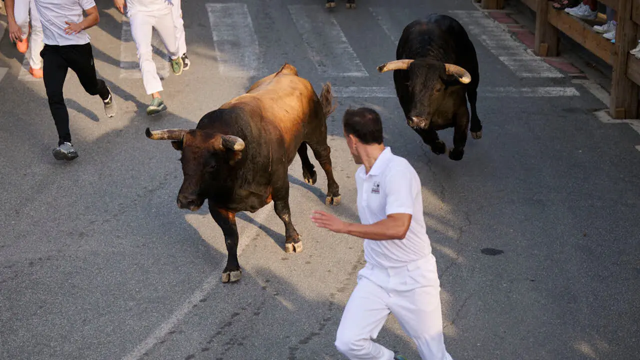 Segundo encierro de Tafalla 2026 con toros de Sobral. PABLO LASAOSA