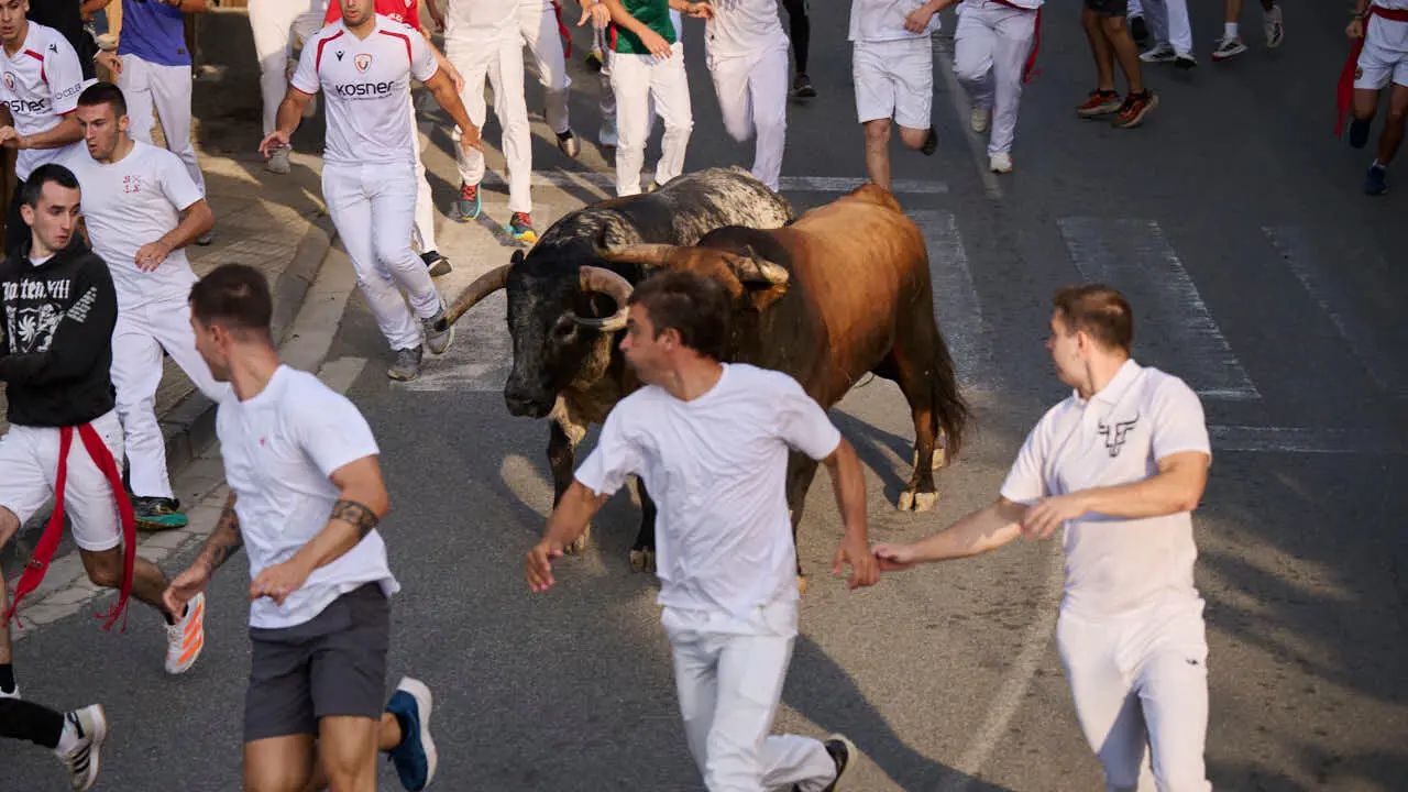 Segundo encierro de Tafalla 2026 con toros de Sobral. PABLO LASAOSA