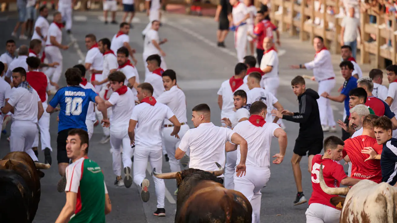 Segundo encierro de Tafalla 2026 con toros de Sobral. PABLO LASAOSA