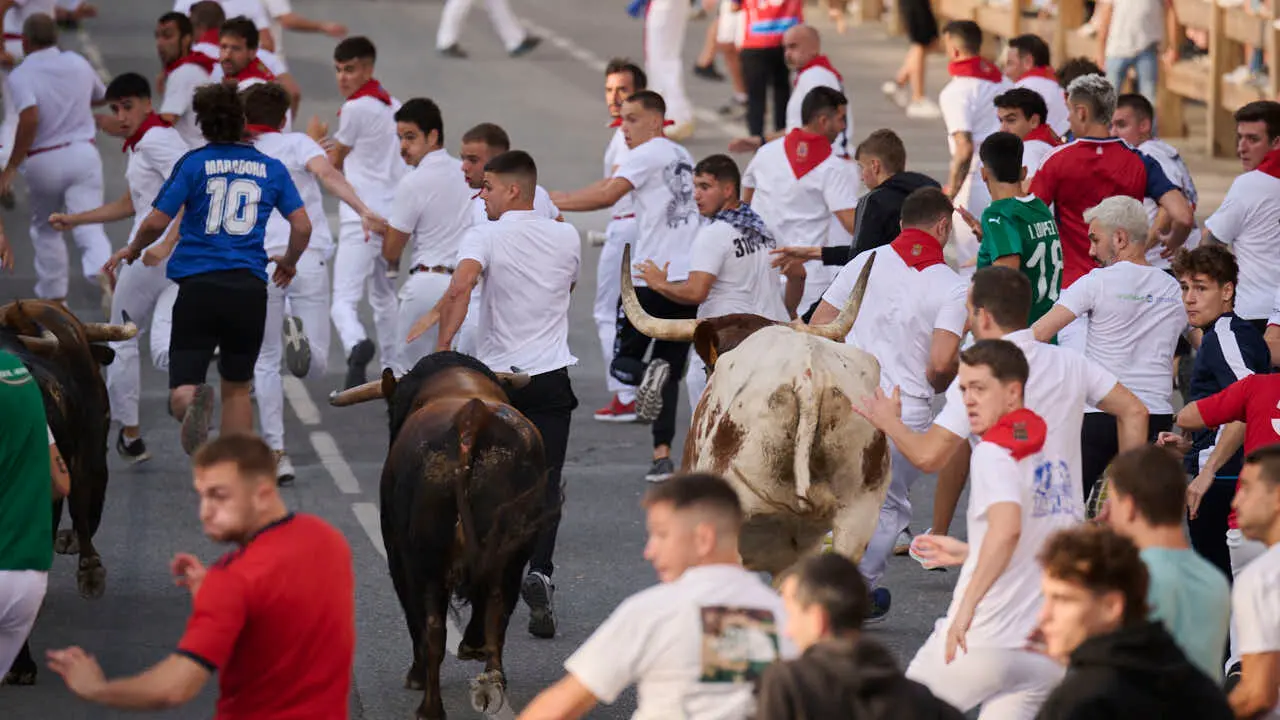 Segundo encierro de Tafalla 2026 con toros de Sobral. PABLO LASAOSA