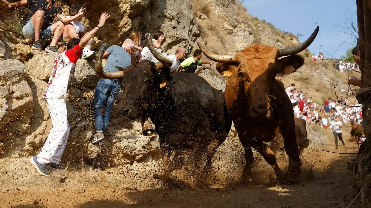 Primer encierro del Pil&oacute;n de Falces. EFE / JES&Uacute;S DIGES