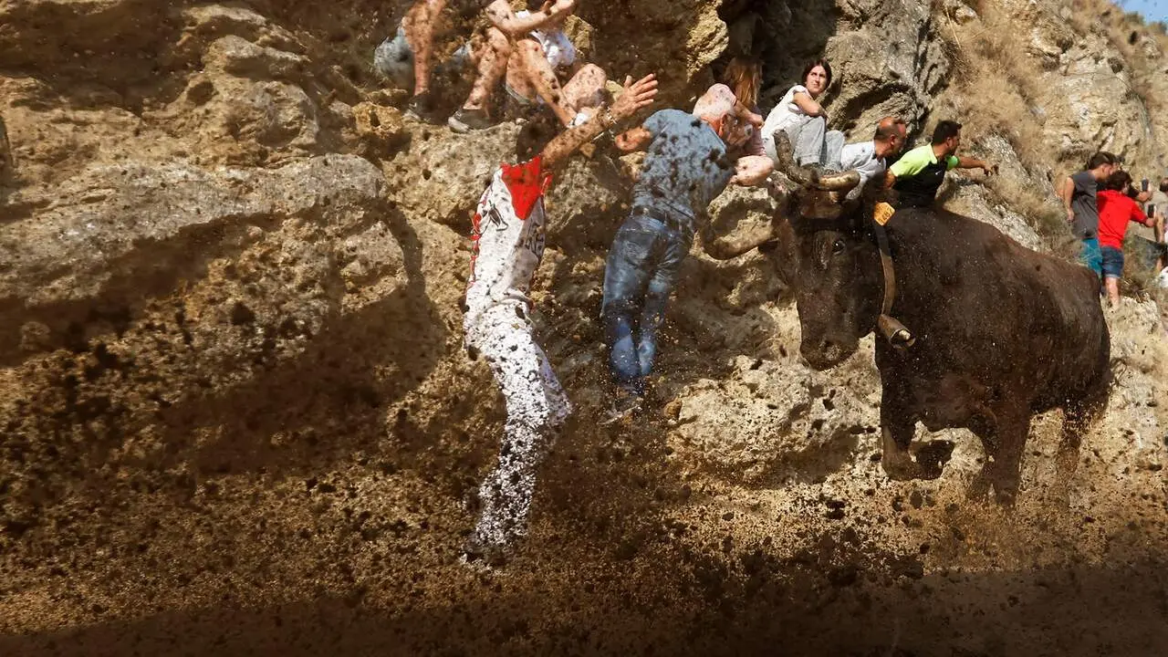 Primer encierro del Pil&oacute;n de Falces. EFE / JES&Uacute;S DIGES