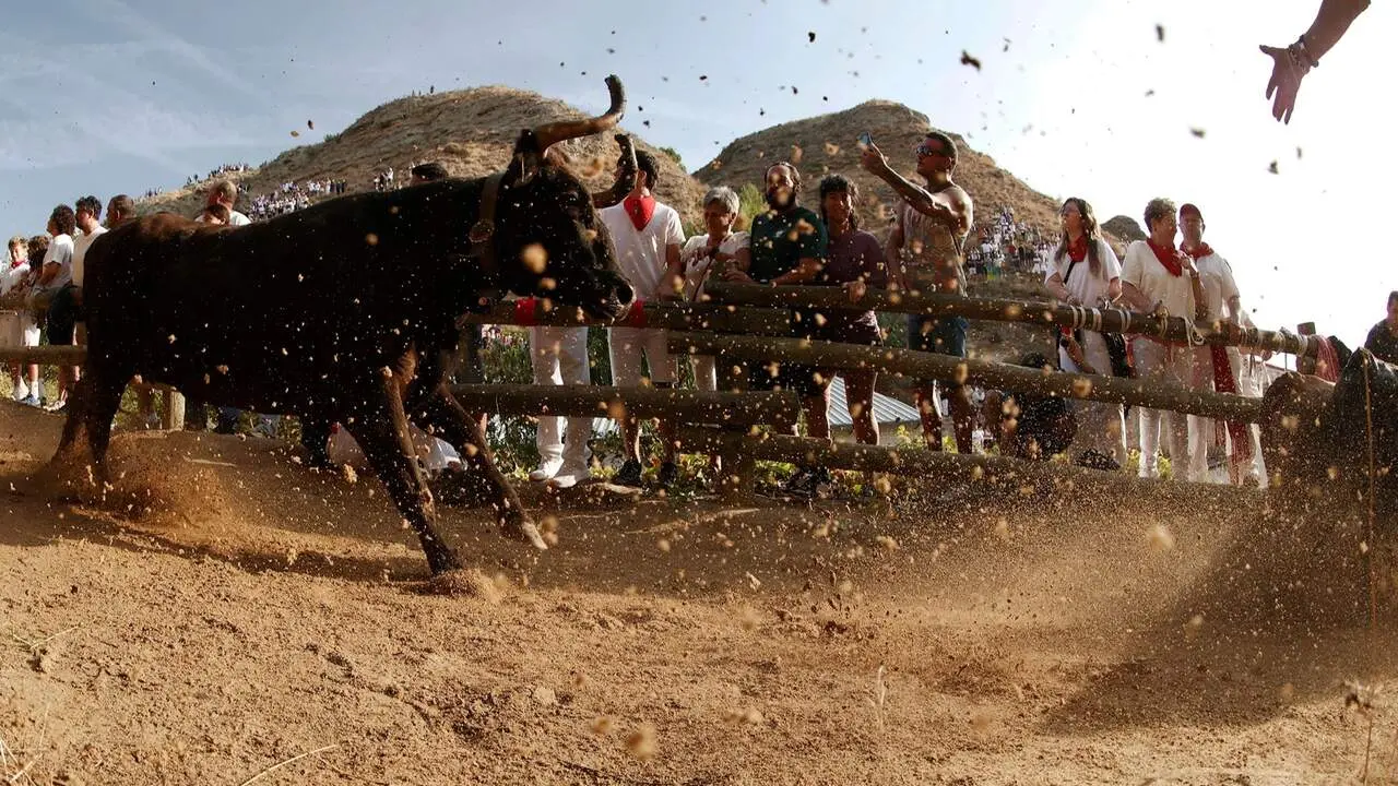 Primer encierro del Pil&oacute;n de Falces. EFE / JES&Uacute;S DIGES