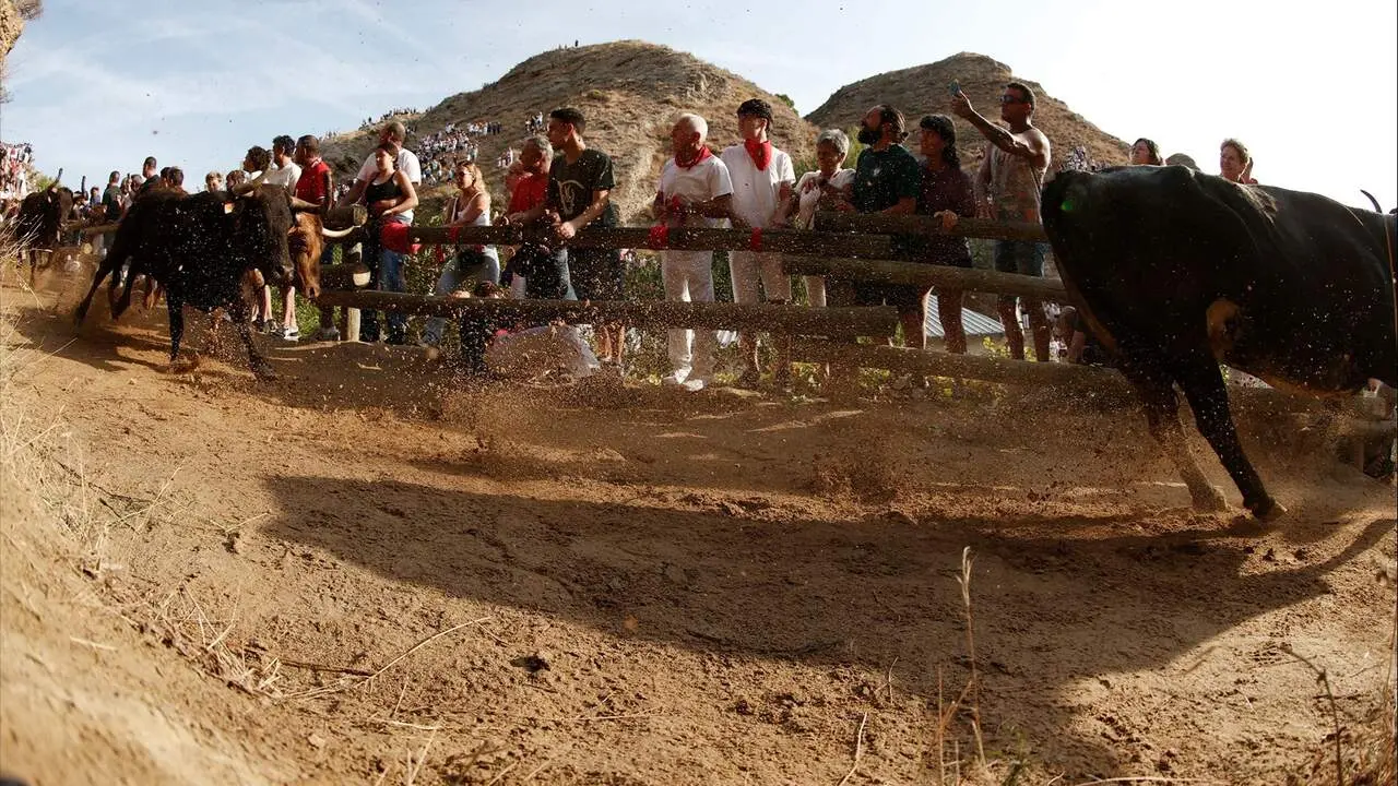 Primer encierro del Pil&oacute;n de Falces. EFE / JES&Uacute;S DIGES