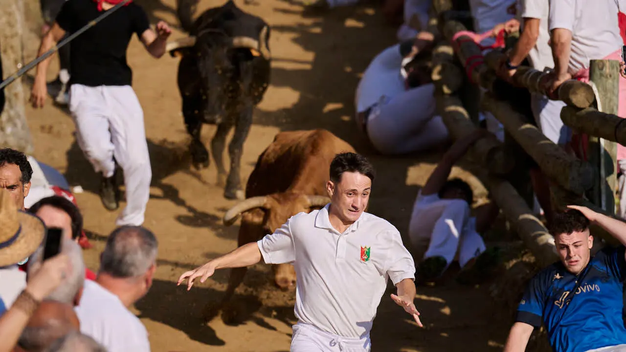 Segundo encierro del Pil&oacute;n de Falces 2026. PABLO LASAOSA